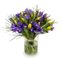 Bouquet of spring flowers